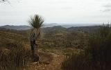 716_Flinders Ranges